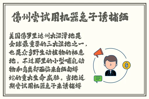 和寂寞妇女的邻居在线观看